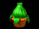 Potted Plant